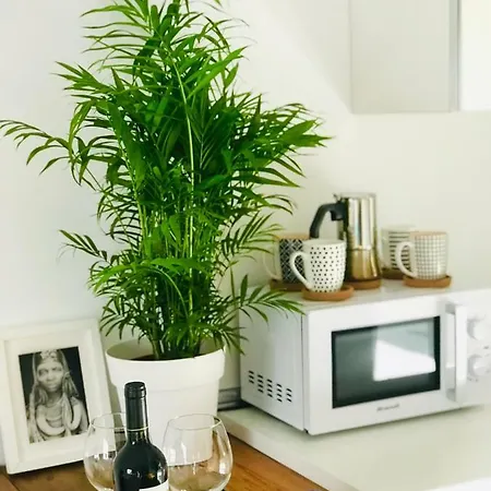 Apartment Lswhite Tinajo